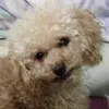 leilaabraham74 - @leilaabraham74 - TikTok