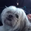 Leila Meagan Abrams - @1012200 - TikTok