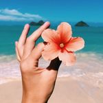 Leila Ackerman - @leickerman - Instagram