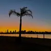 leila_ackerman - @leila_ackerman - TikTok