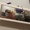 leilaaaa - @leilaaa.dell7 - TikTok