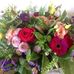 Leila Andersen - Facebook