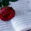 leilabahid - @leilabahid - TikTok
