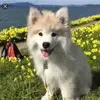 Leila bennett - @leilab12321 - TikTok