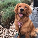 Leila May Bennett - @life_of_leila_may - Instagram