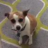leila.bennett - @bruhitsdachicken - TikTok