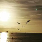 Leila Burch - @veuaotsa - Instagram
