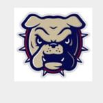 Leila Cain - @rms_bulldoglife - Instagram
