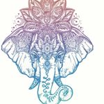 Leila Campbell - @elephant_slimes7 - Instagram