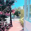 Leyla Carlson - @leylacarlson_ - TikTok
