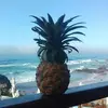 leyla_crouse_ - @leyla_crouse_ - TikTok