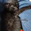 Leila Freymann - @leilafreymann92 - TikTok