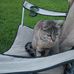 Layla Fuller - Facebook