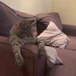 Leila Goodwin - @leigood1 - Instagram