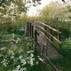 Leila Gray - @leila.gray5 - TikTok