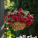 Leila Hakimi - @maya75219 - Instagram