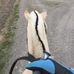 Laila Hansen - Facebook