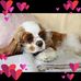Lily Hoffpauir - Facebook