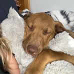 Lyla Johnston - Facebook