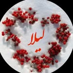 𝓵𝓮𝓲𝓵𝓪.𝓲 - @leila_karimy63 - Instagram