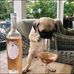 Leila Levine - Facebook