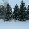 Lila Mueller - @lila.bean28 - TikTok