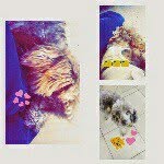 leila_muñoz - @leila_munoz - Instagram