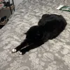 leila - @leila.richards266 - TikTok