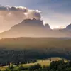LeilaRoach - @leilaroach - TikTok