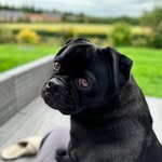Leila Robinson - @leilasmith4614 - Instagram