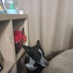 Leila Ryan - Facebook