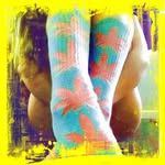 Leila Townsend - @violetsbirdy8817 - Instagram