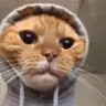 Leilani Chavez - @unknownuser543867 - TikTok