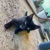 Leilani Diaz - @leilanidiaz892 - TikTok