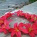 Leilani Simpson - Facebook