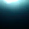 LeilaniWeeks - @leilaniweeks - TikTok