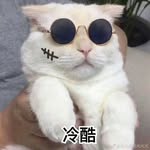 @lei_lei_chen_ - Instagram