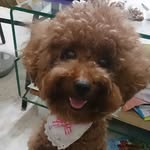 Leilei Chen - @cleileichen - Instagram