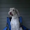 Leisa Taylor - @leisa.taylor0 - TikTok