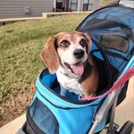 Leisa West - @lwestattheville - Instagram
