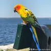 leisawhite16 - @boo.the.sun.conur - TikTok