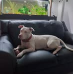 Leisy Alvarez - Facebook
