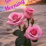 Lekh Raj boxerSundernagar - @lekh.raj1585 - Instagram
