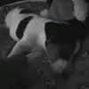 Leila Bishop 2011 - @leila.bishop - TikTok