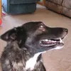 lelabishop190 - @lelabishop190 - TikTok
