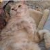 Layla Bonner - Facebook