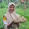 Lela Ledung Cooking - @lelaledungcooking - TikTok