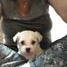 Lela Dale - Facebook