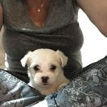 Lela Dale - @lelaraedale - Instagram