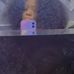 Laila Dorsey - Facebook